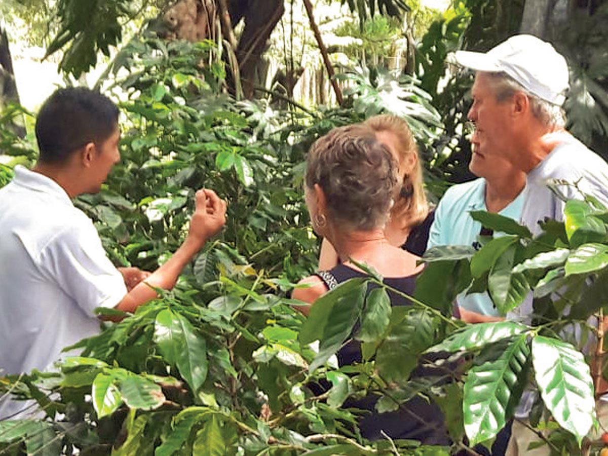 Turistas atentos en la explicación del proceso de la selección del café, una etapa del tour.