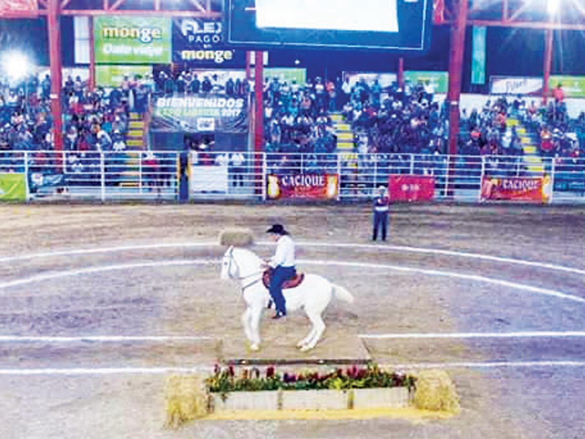 Juzgamiento de caballo costarricense de paso, corridas de toros gratuitas y desfile de caballistas, son parte de la agenda de la Expo Liberia 2019. Crédito de foto: Cámara de Ganaderos de Liberia