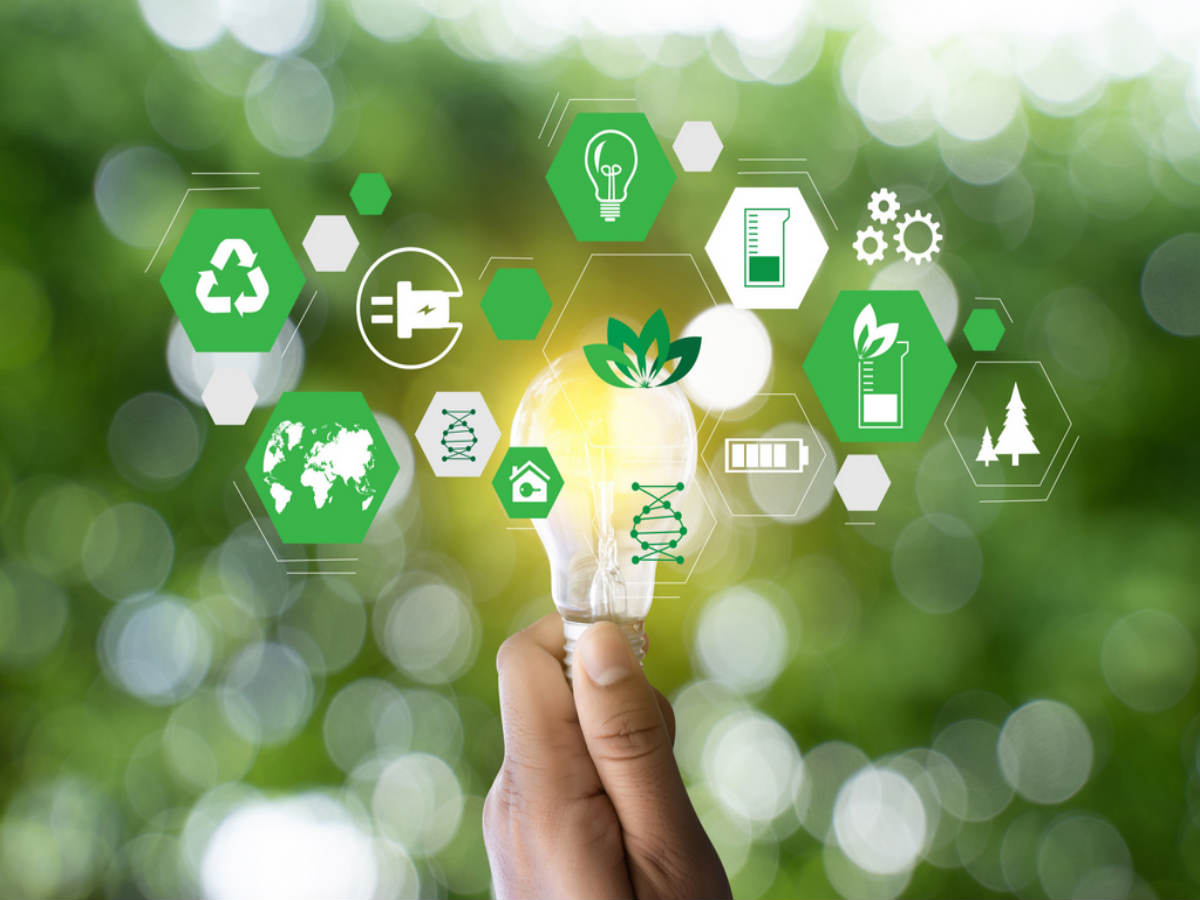 Programa Greentech selecciona 10 startups de tecnología verde para proceso de aceleración