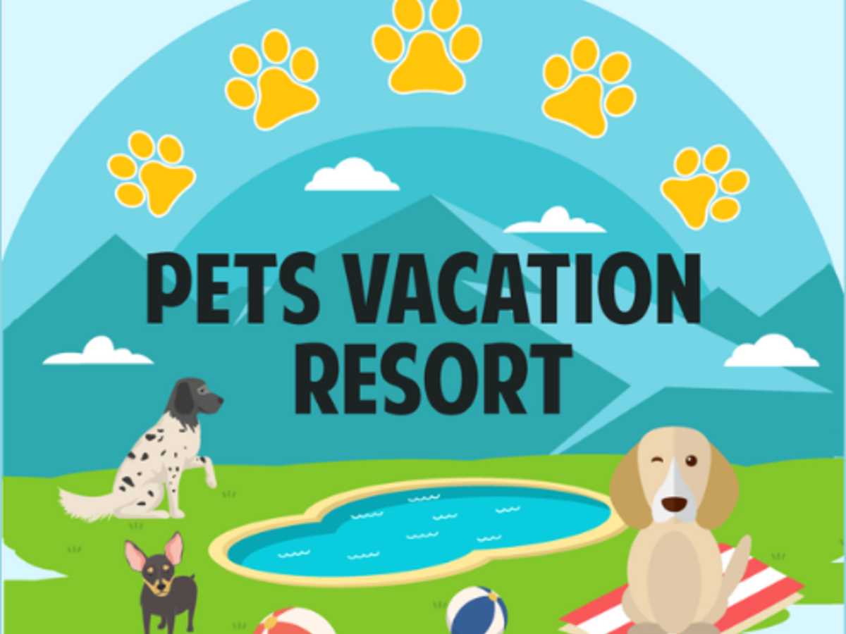 Pets Vacation Resort, es un hotel vacacional-recreativo para mascotas, ubicado en Orotina, Alajuela, donde los animales pueden disfrutar libremente. Fotografías: Cortesía Pets Vacation Resort 