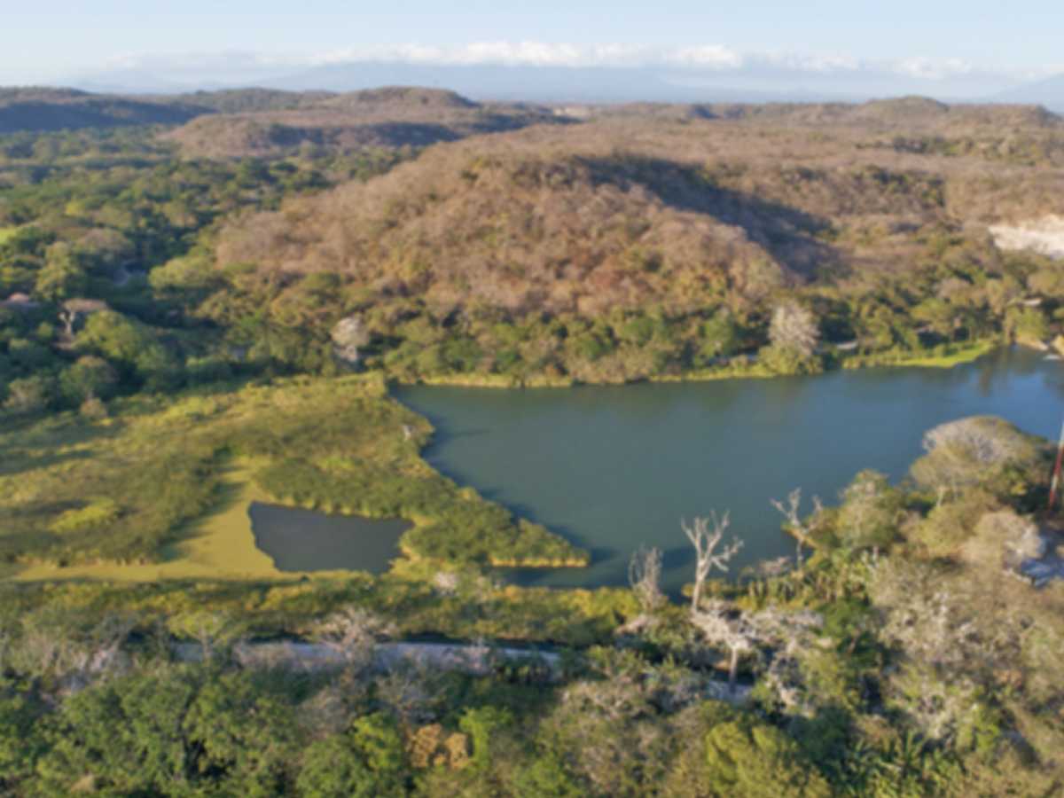 Grupo Pelón tiene 3200 hectáreas destinadas como áreas de conservación que sirven de corredor biológico entra la Reserva Biológica de Lomas de Barbudal, el Parque Nacional Palo Verde y el Refugio Nacional de Vida Silvestre Cinpaci.