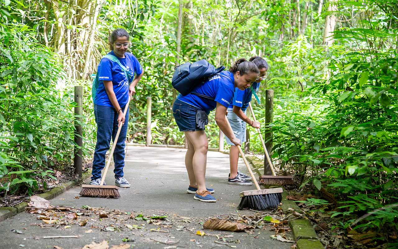 Más de 1.250 horas de voluntariado mantienen limpios los Parques Nacionales en Costa Rica.alt