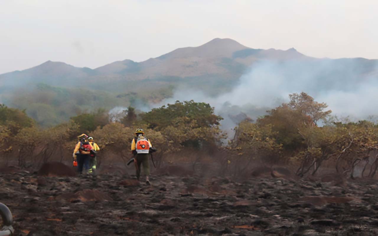 Temporada de incendios cerró con 1426 hectáreas afectadas en el ACG