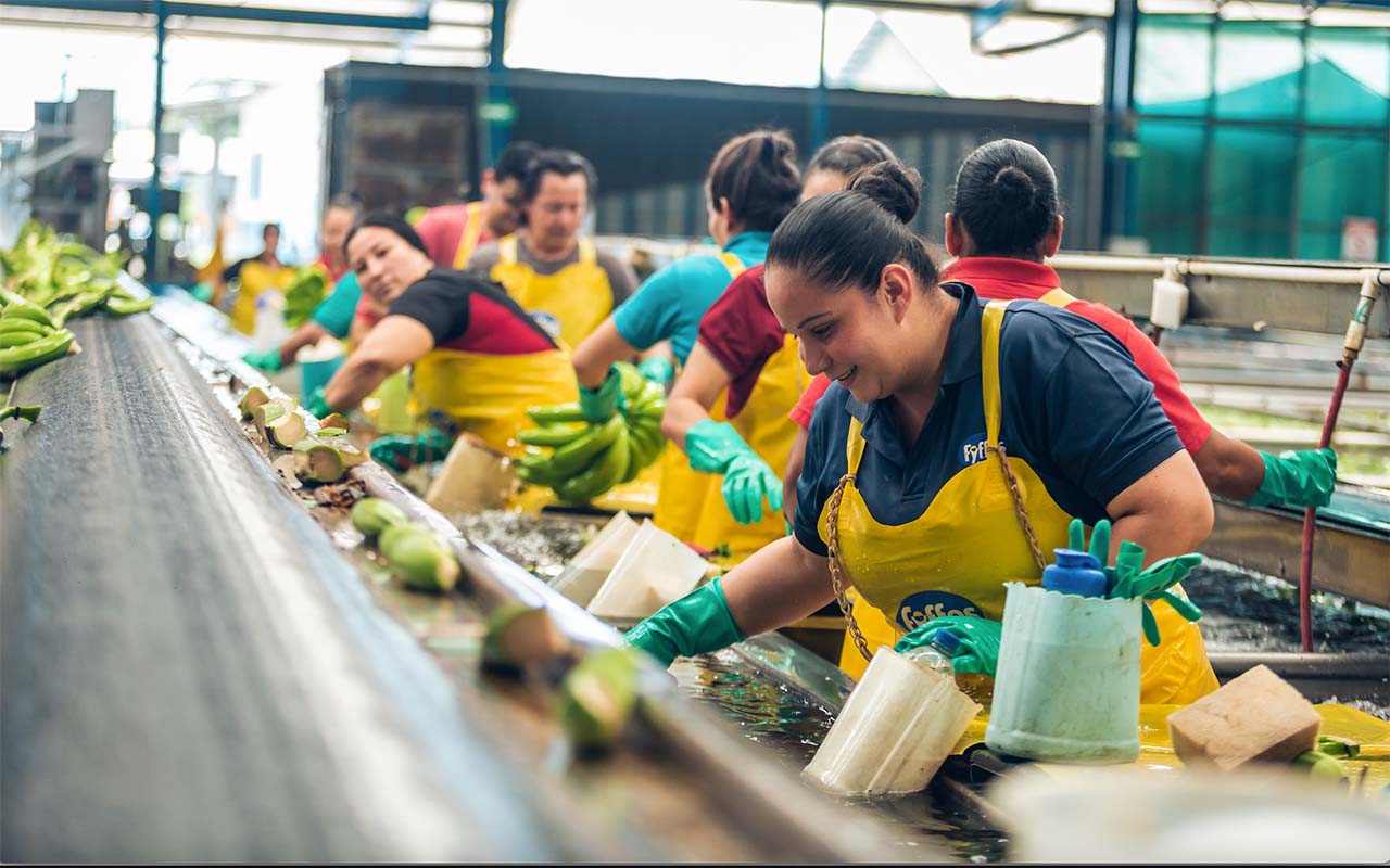 Más de 3200 trabajadores y proveedores de Fincas de Banano y Piña se capacitarán en equidad de género