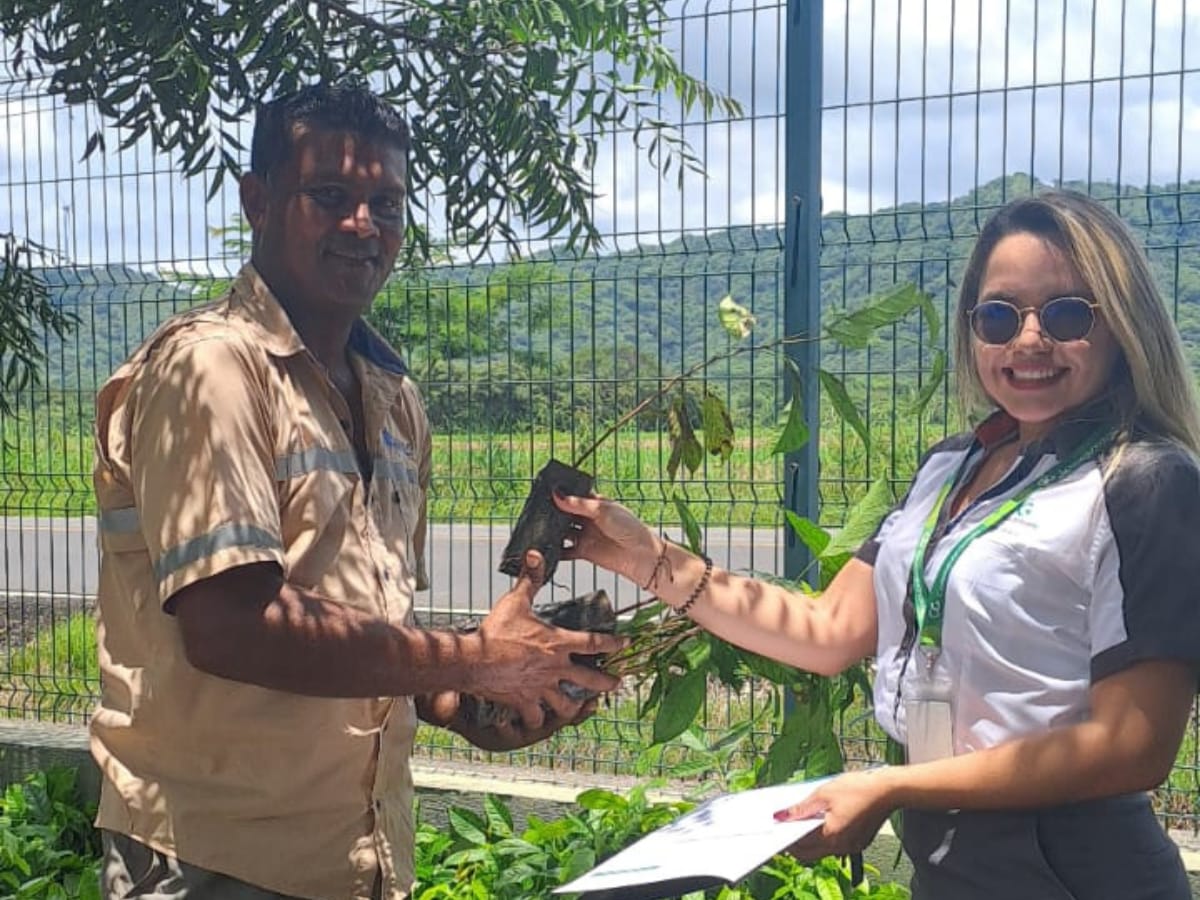 10.000 especies de árboles de diversas especies de floración, como el espavel, guayaquil, cocobolo, guayaba, caimito, cortés negro, y roble, fueron donados por la cooperativa para preservar el hábitat de las abejas y otras especies polinizadoras del Bosque Tropical Seco de la región.