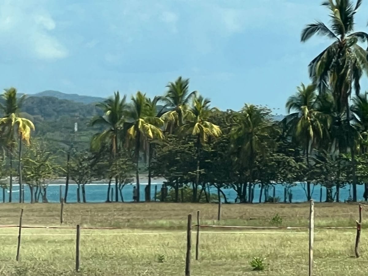 Programa de actividades se llevará a cabo del 27 de diciembre al 2 de enero