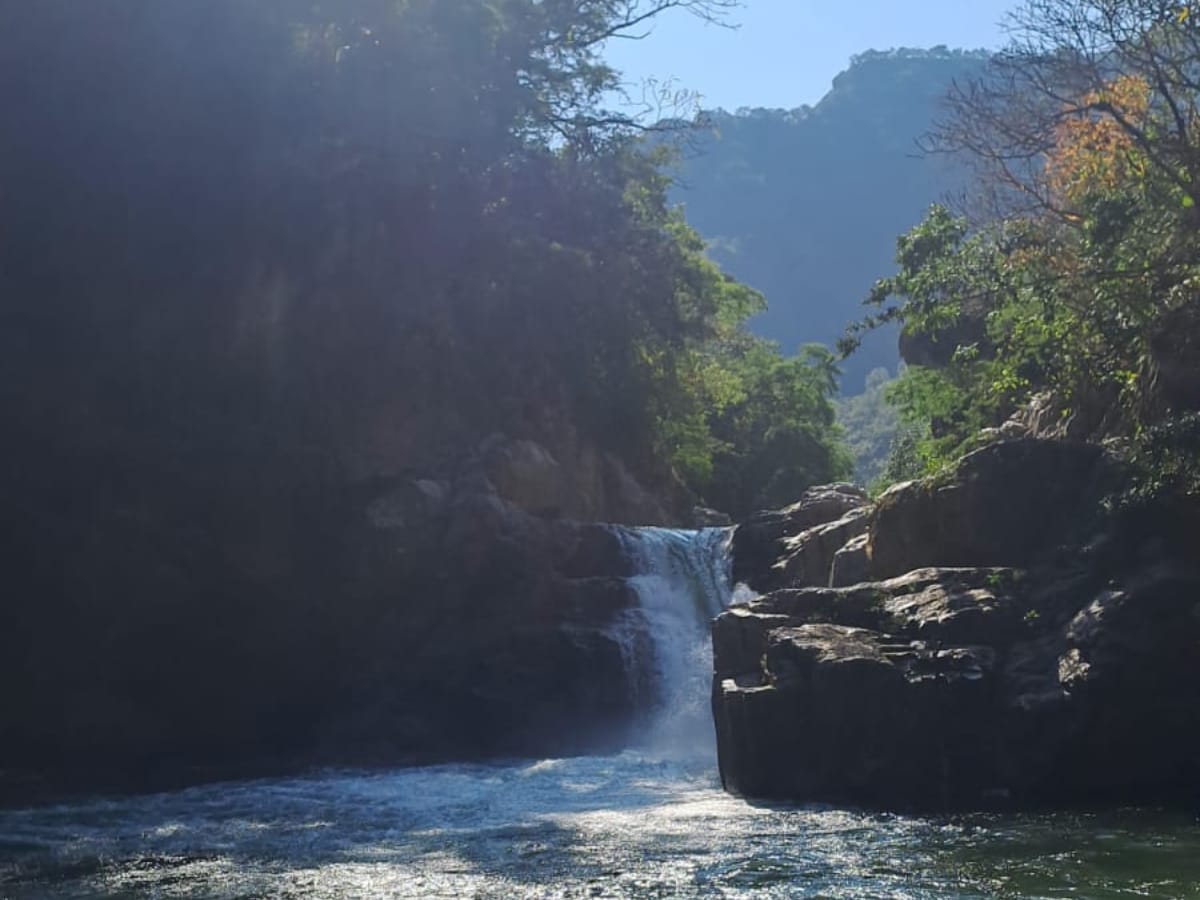 canopy river park cascada