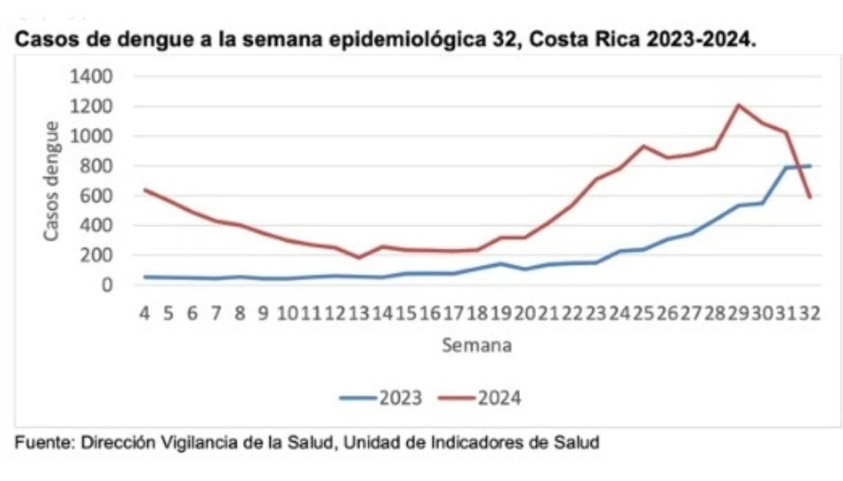 dengue info 1