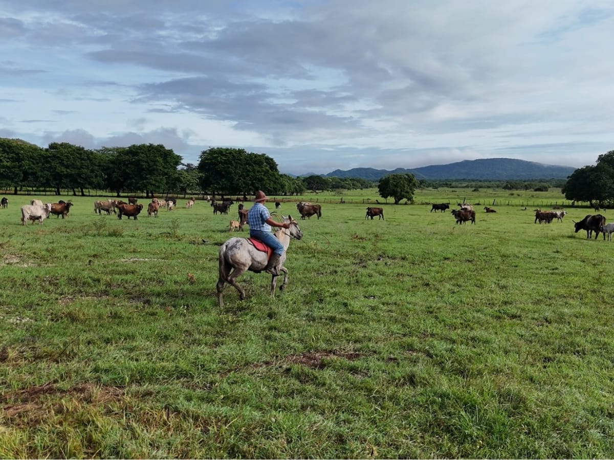 Se trata de una propiedad de 66,8 hectáreas que permitirá beneficiar a toda una comunidad que se dedica casi exclusivamente a la ganadería.