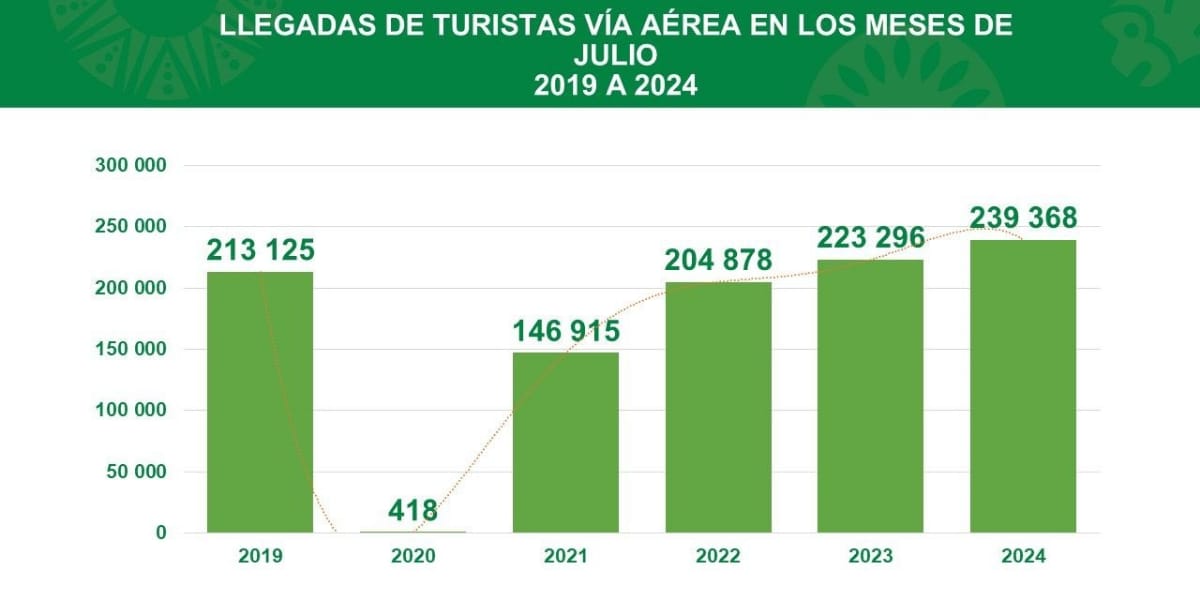 grafico turistas avion