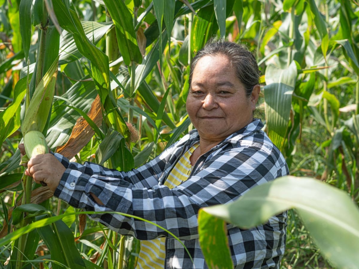 La compañía invierte en mejorar los medios de vida de los agricultores al tiempo que satisface de manera sostenible la creciente demanda mundial de alimentos.