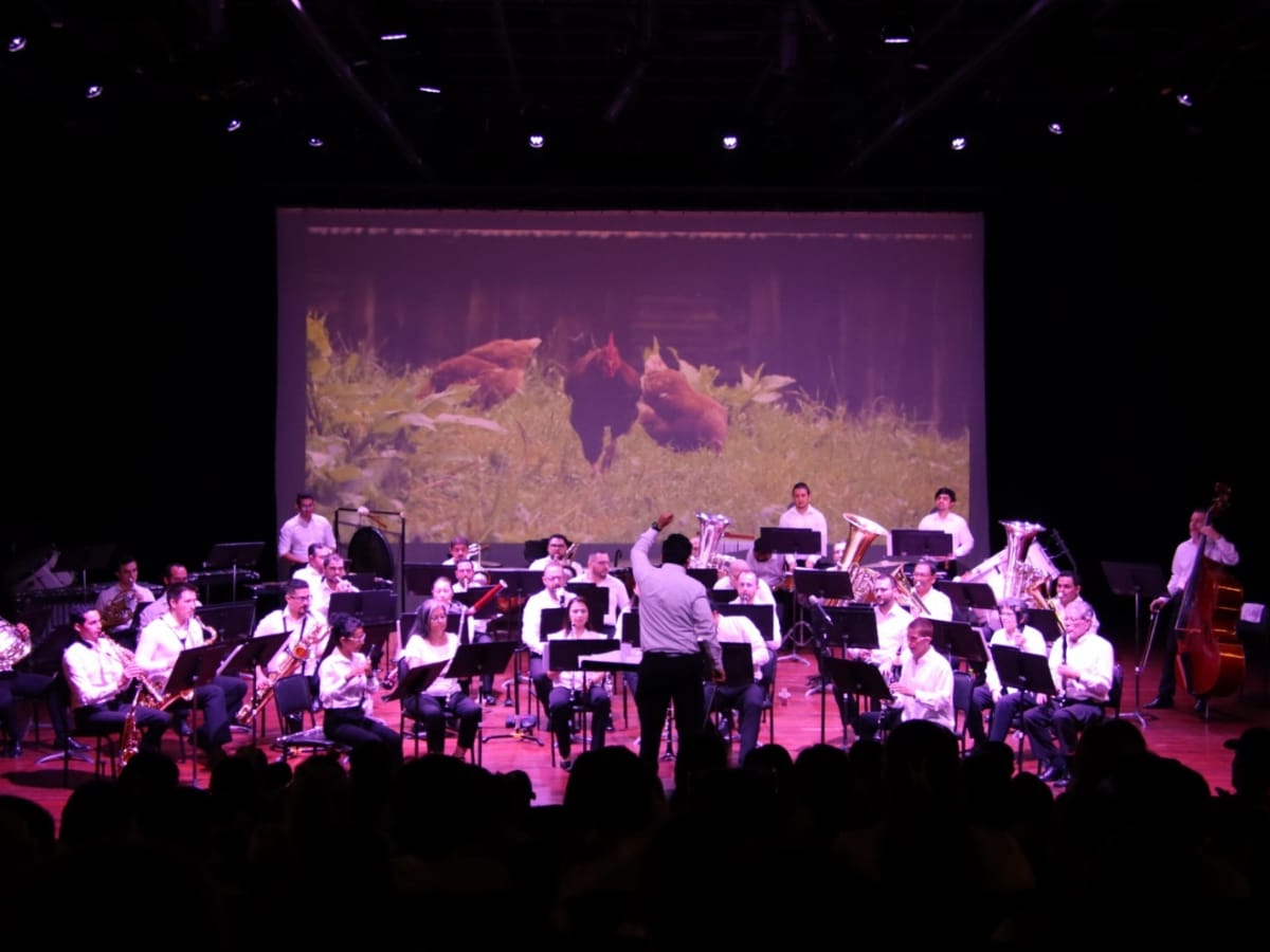 Durante todo el mes de agosto, las siete Bandas de Conciertos del país, ofrecerán presentaciones musicales gratuitos con repertorio dedicado a las madres