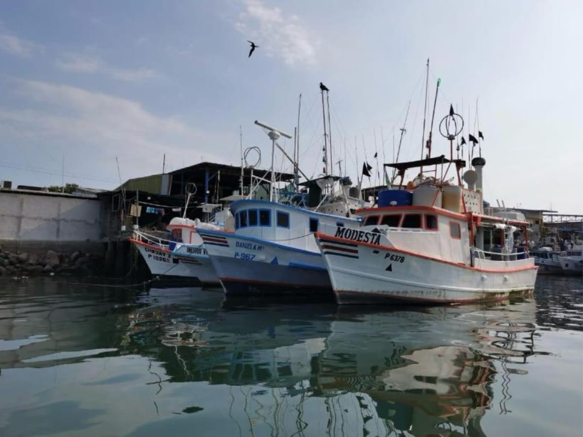 Dos excelentes noticias recibió el sector de pesca de palangre durante la visita oficial del Gobierno a la provincia de Puntarenas. En total, se anunció la inversión de ₡550 millones, por parte del INDER y del Ministerio de Agricultura y Ganadería para mejorar las condiciones de competitividad de este arte de pesca.