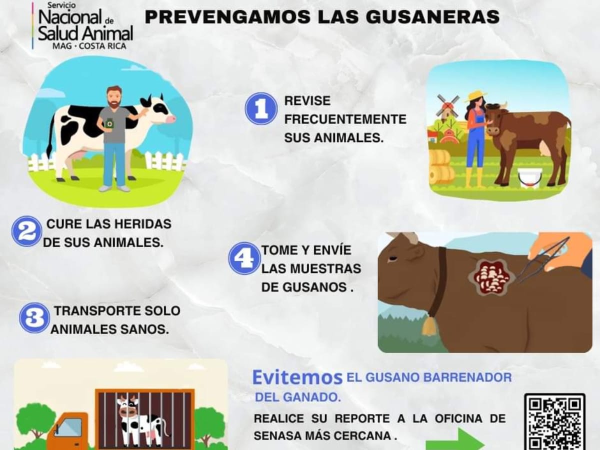 Guanacaste presenta 97 casos nuevos, los cantones de Abangares, Nandayure, Bagaces se enfilan en los primeros lugares.