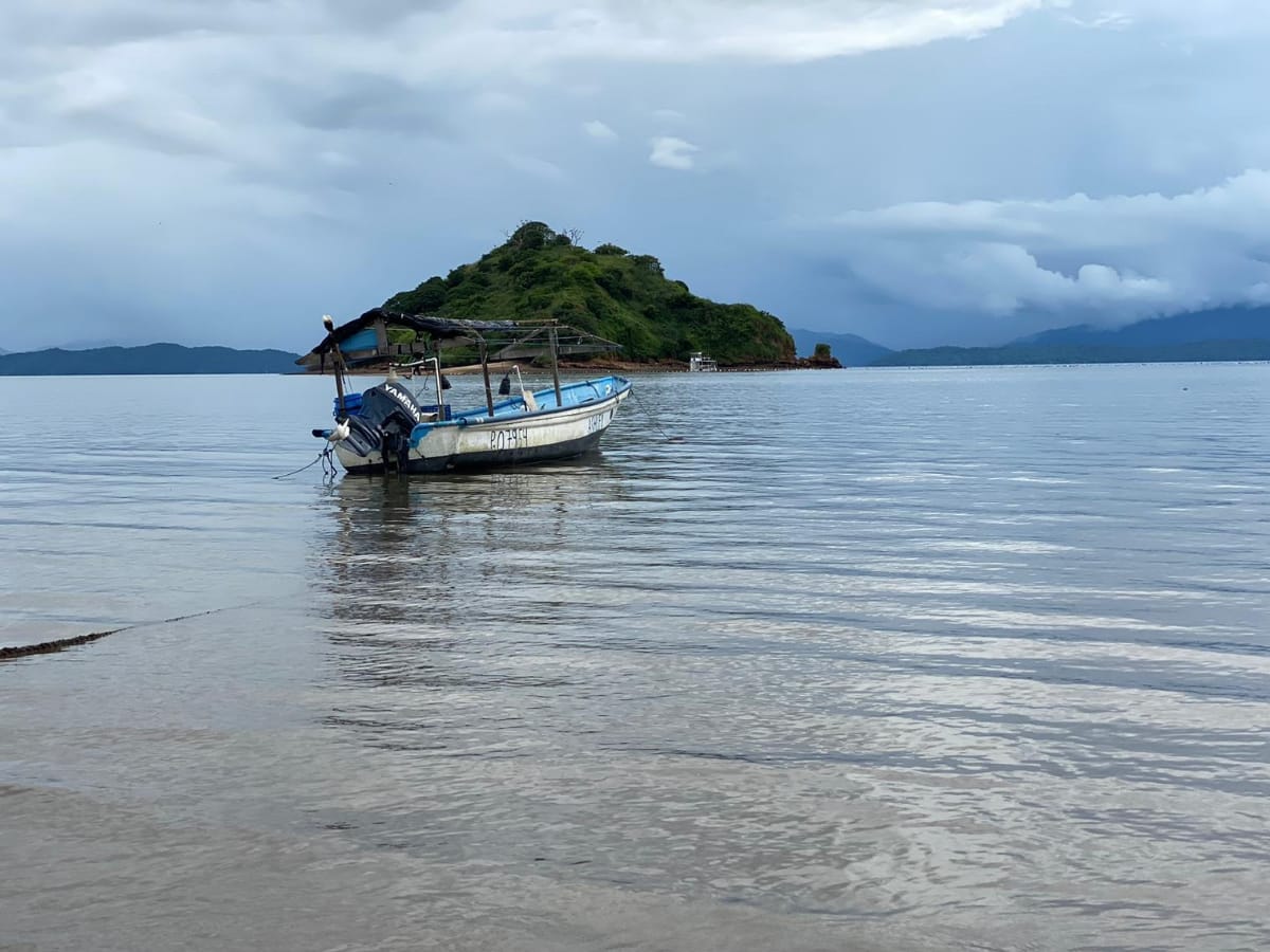 Con el firme propósito de avanzar en el compromiso de facilitar las condiciones para que las y los pescadores artesanales puedan formalizarse y cuenten con licencias permanentes y un aseguramiento digno y accesible, el Gobierno impulsa la realización de estudios de caracterización de las pesquerías de corvina y de anchovetas, mediante el otorgamiento de permisos de pesca para investigación, que se entregan a pescadores de pequeña escala.