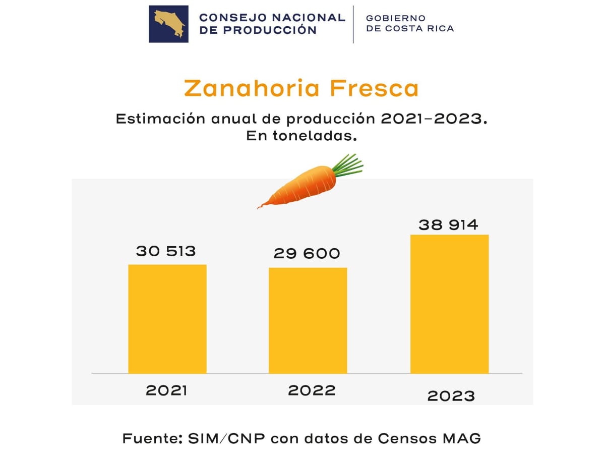 La producción de zanahoria en Costa Rica aumentó en un 31% del año 2022 al 2023.