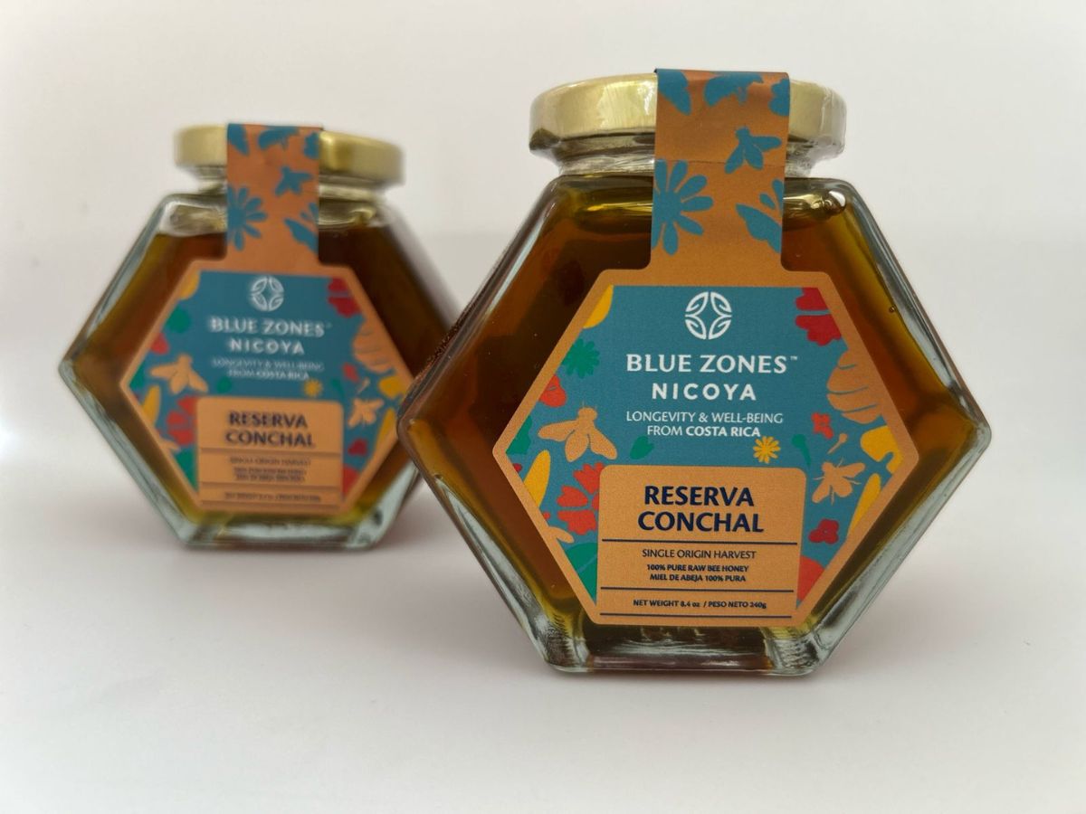 abejas dia mundial fifco 4