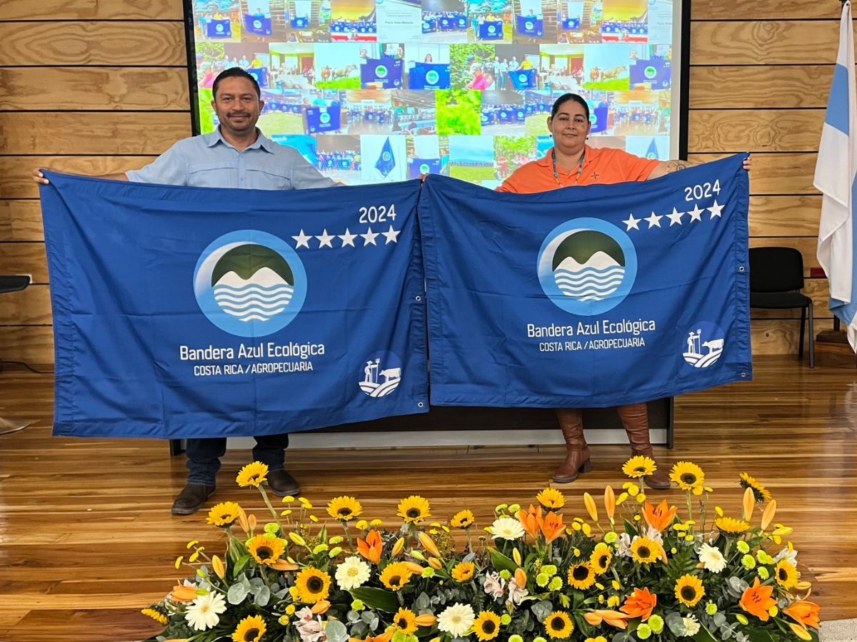 La empresa también ha compensado más de 1.334 toneladas de CO₂, reducido el consumo de energía en un 50% y el uso de combustible en un 85%.