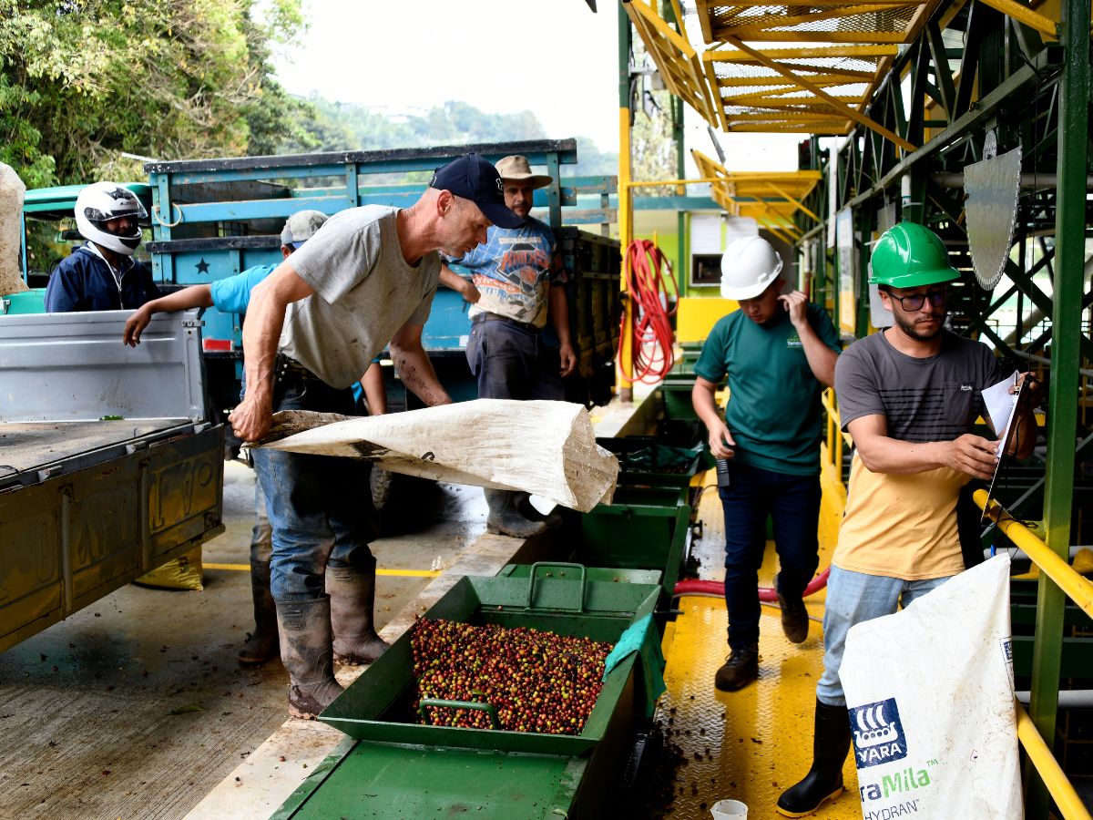 El modelo procura disminuir las emisiones de gases de efecto invernadero y aumentar la eficiencia energética.