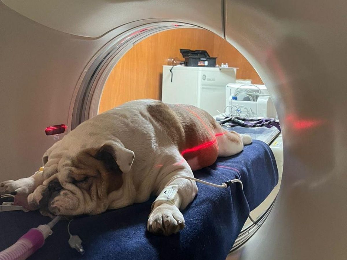 Señales de alerta para detectar a tiempo un cáncer