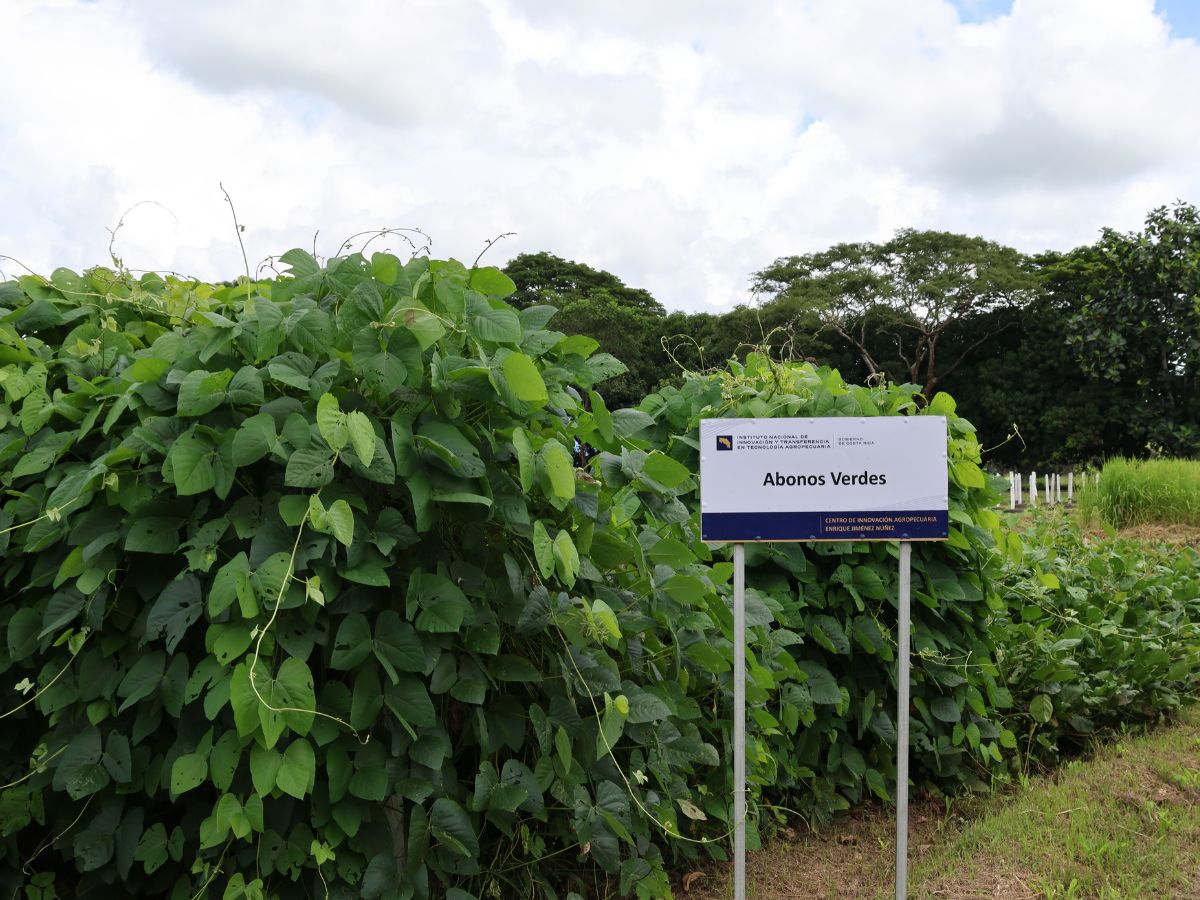 La Organización de las Naciones Unidas para la Alimentación y la Agricultura (FAO), el Ministerio de Agricultura y Ganadería (MAG) y el Instituto Nacional de Innovación y Transferencia en Tecnología Agropecuaria (INTA) desarrollan una acción conjunta orientada a fortalecer la capacidad de adaptación del sector agropecuario frente a los efectos de la variabilidad climática en las comunidades rurales de la provincia de Guanacaste.