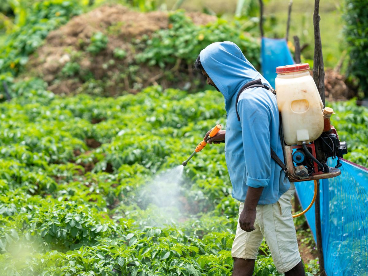 Más del 70% de los insumos agropecuarios registraron reducciones de precio interanual, según estudio de SEPSA-MAG
