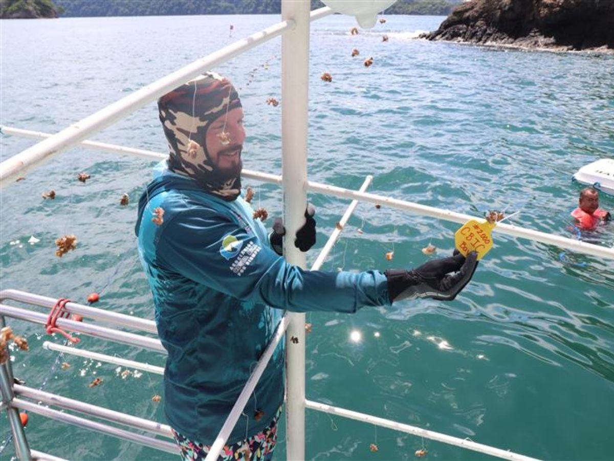 Proyecto de siembra llegó a su primer año, se anunció durante acto de celebración del Día Mundial de los Océanos