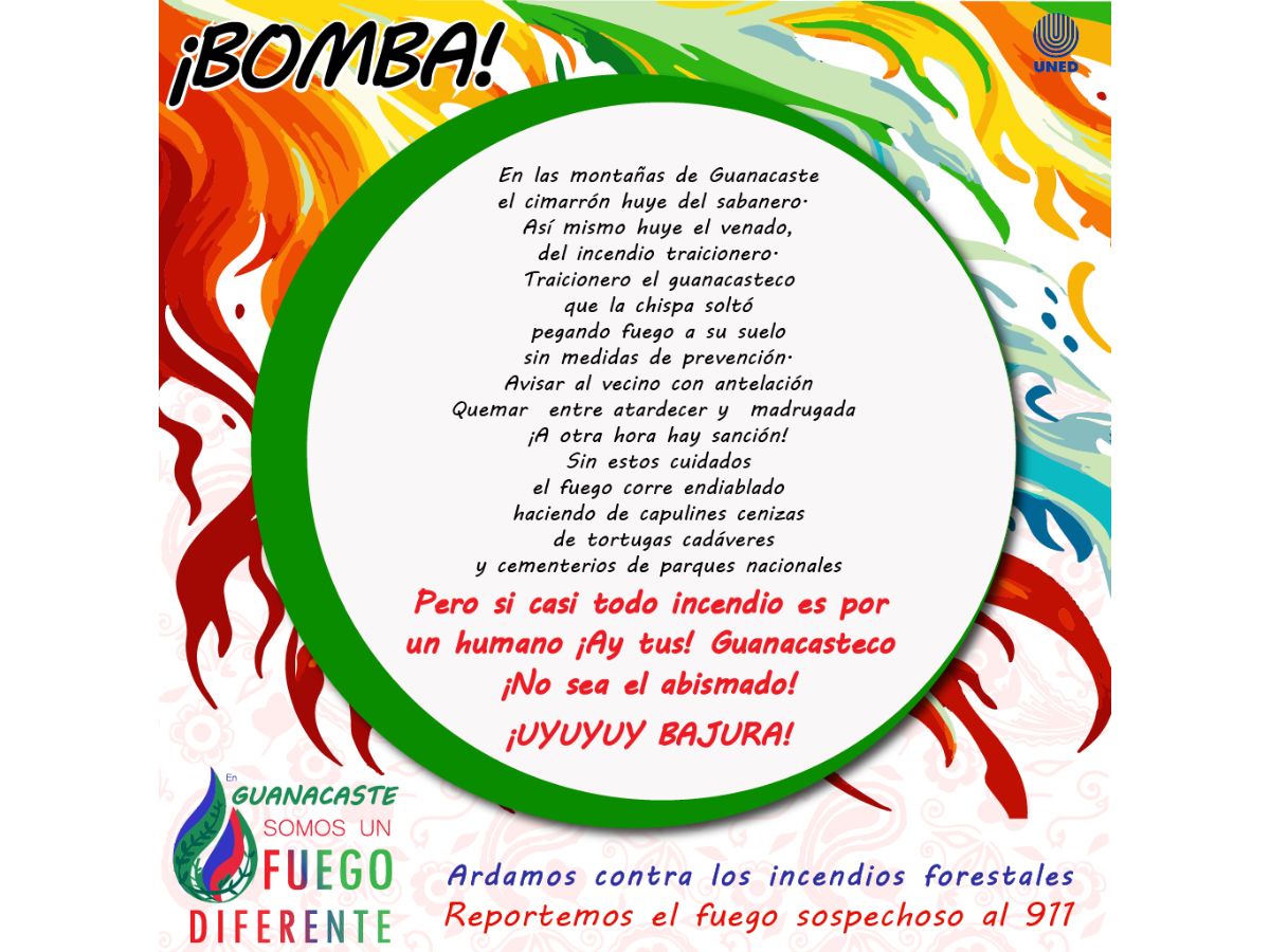 incendios forestales arte 1