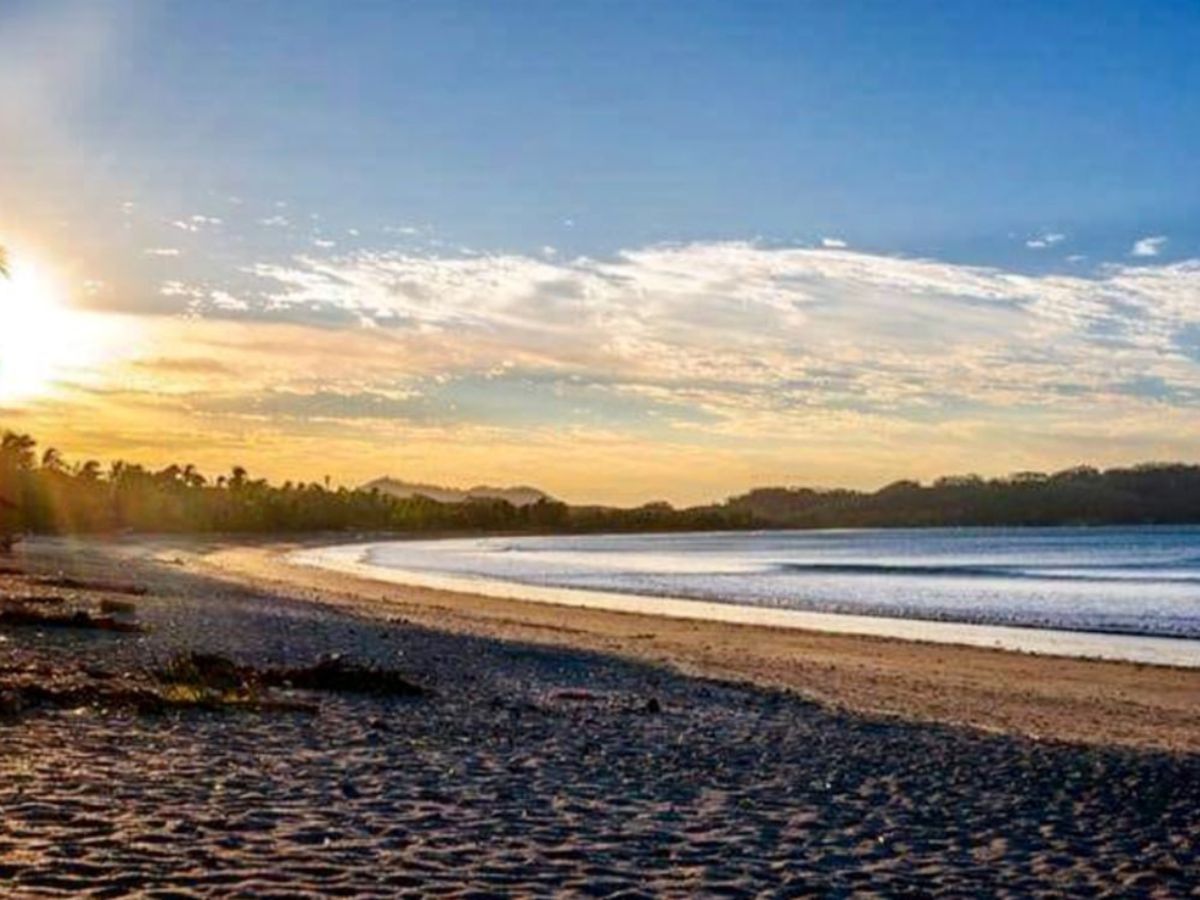 28 de noviembre se iluminará el árbol navideño