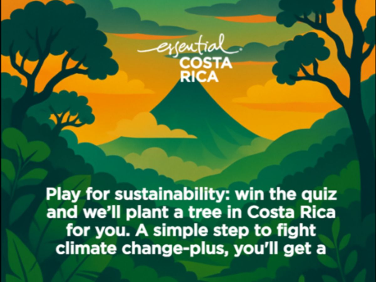 Durante el 2025, la Marca País costarricense desarrolló activaciones con las cuales se comprometió a plantar más de 400 árboles en Costa Rica.