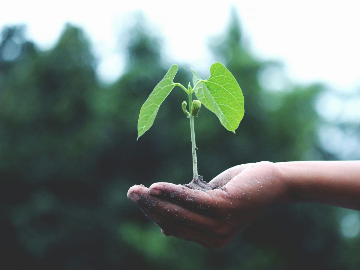 Según un informe elaborado por Boston Consulting Group (BCG) y CO2 AI, las empresas proyectan incrementar un 16% sus inversiones en sostenibilidad en los próximos cinco años, mientras que el 70% mantiene o aumenta sus presupuestos, con la inteligencia artificial y la digitalización como palancas estratégicas para transformar la sostenibilidad en crecimiento competitivo.