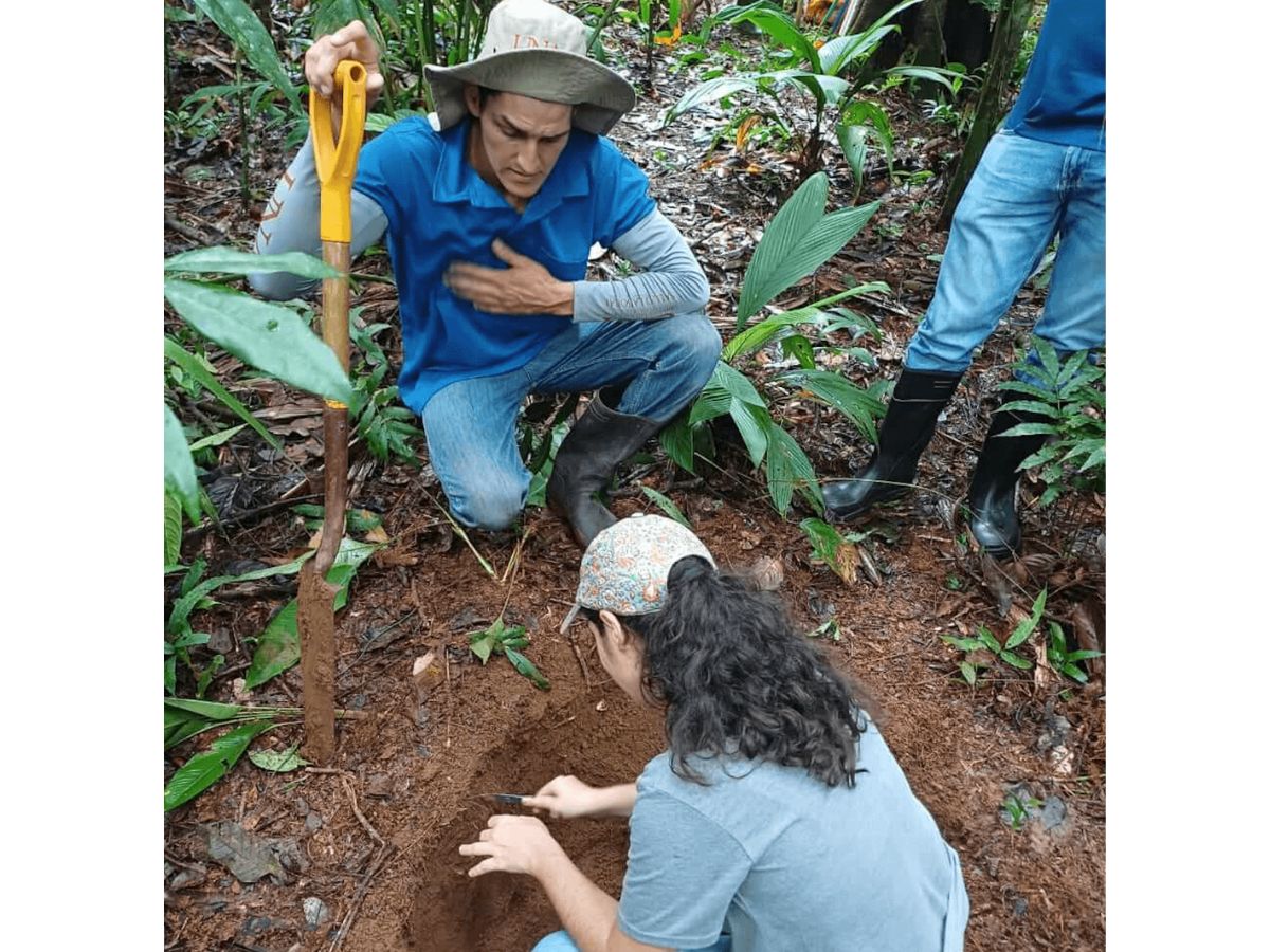 suelos cambio climatico 2