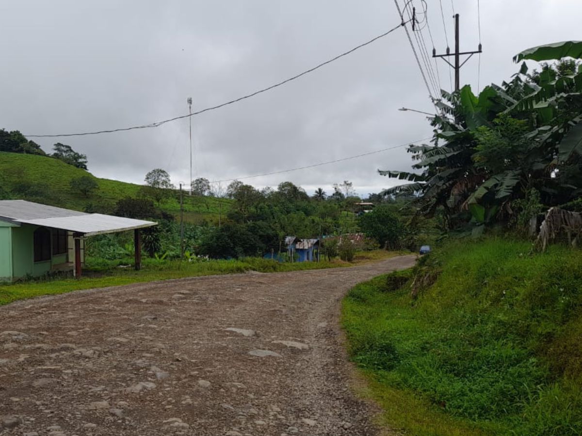 El Consejo Nacional de Vialidad (CONAVI), adjudicó los trabajos para la atención de la Ruta Nacional 164 que comunica San Isidro de Aguas Claras con el sector de Santa Clara en Upala. 