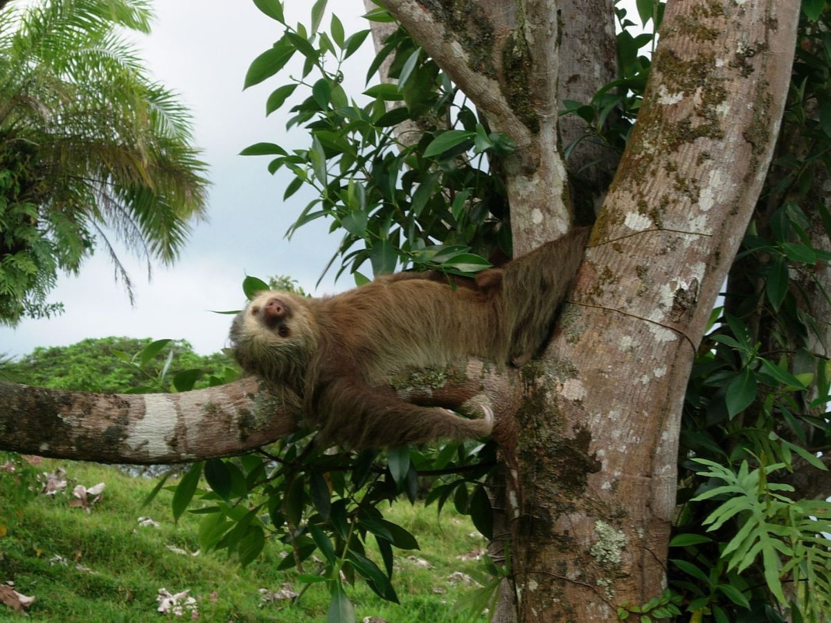 Con el apoyo de Cámaras de Turismo de distintas regiones del país, los costarricenses obtuvieron descuentos en hospedajes y tours en algunos de los lugares menos conocidos del país.