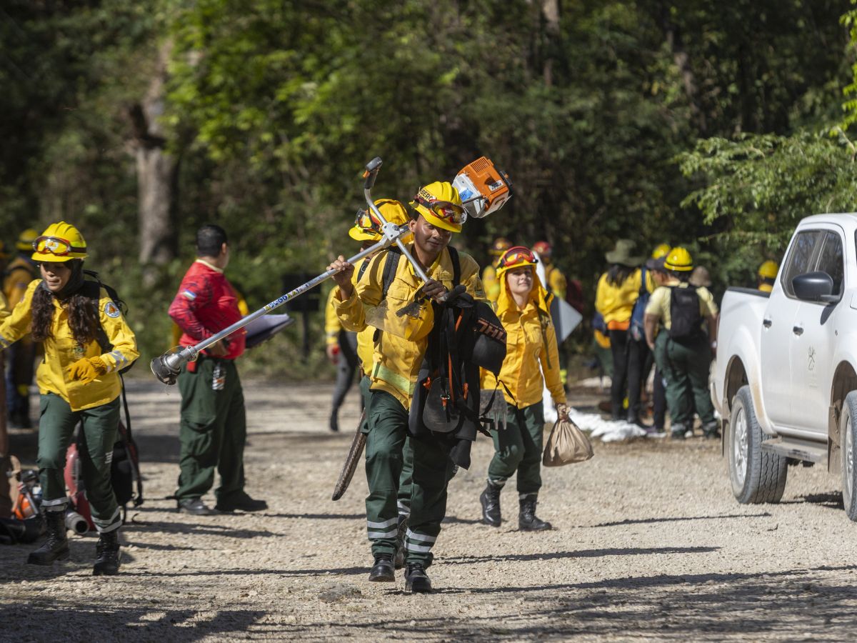 voluntariado parque nacional 1