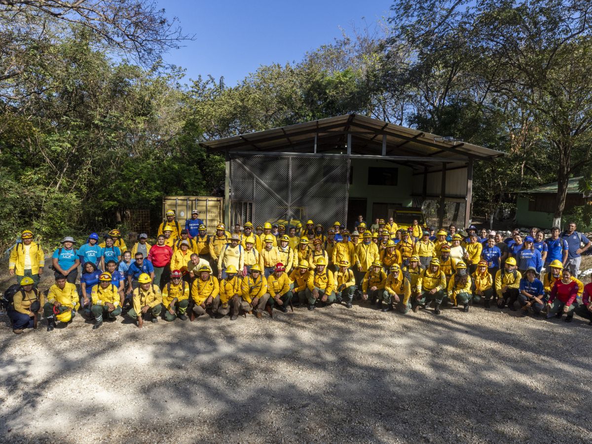 Ronda cortafuegos de 4.5 km de largo por 4 metros de ancho refuerza la protección del Parque Nacional Barra Honda.