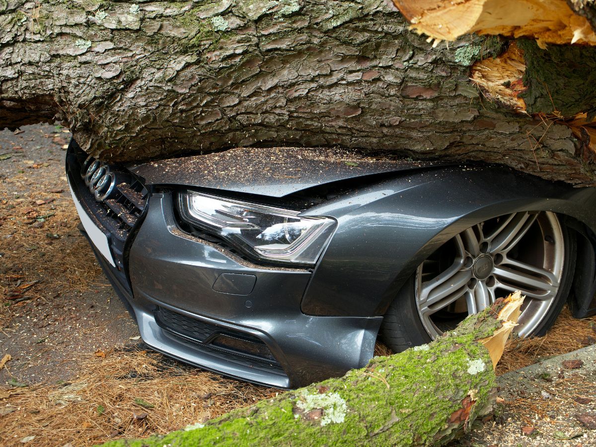 En promedio, 16 emergencias diarias