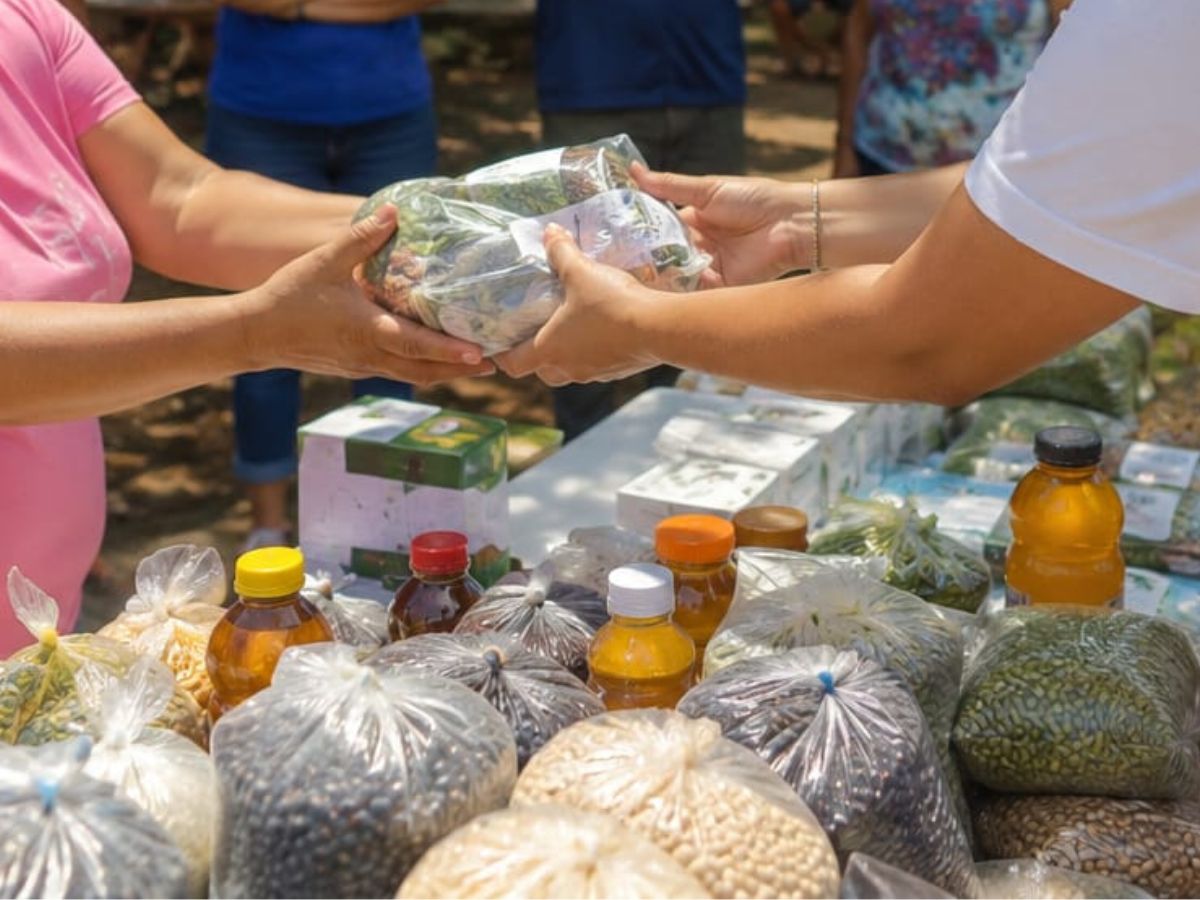 Aliarse impulsa el desarrollo de Guanacaste mediante iniciativas de acceso al agua, formación para el empleo y fortalecimiento de emprendimientos