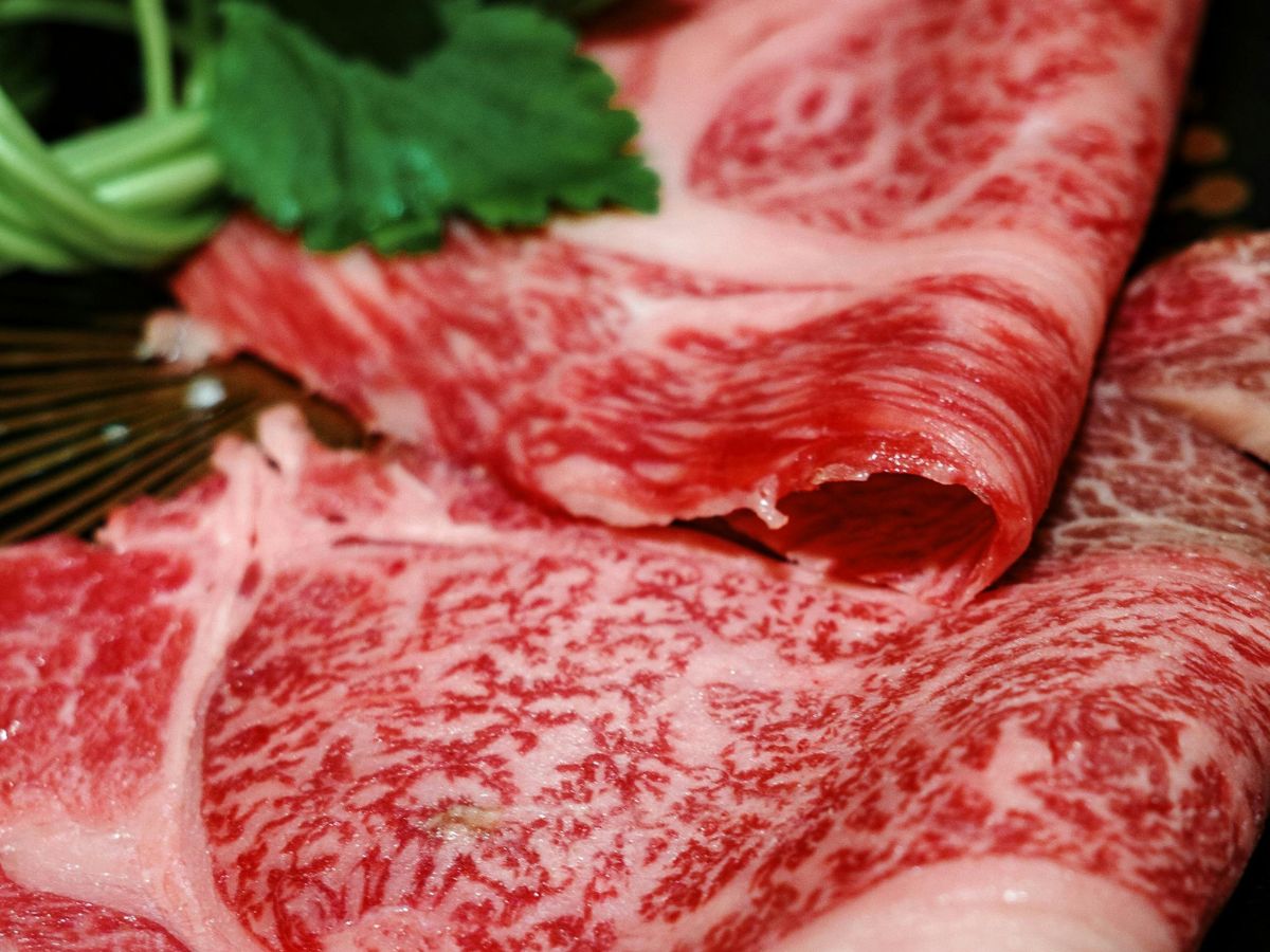 Estudio de CORFOGA revela que la percepción de calidad, la higiene y el trato en el punto de venta pesan más que el precio en la decisión de compra