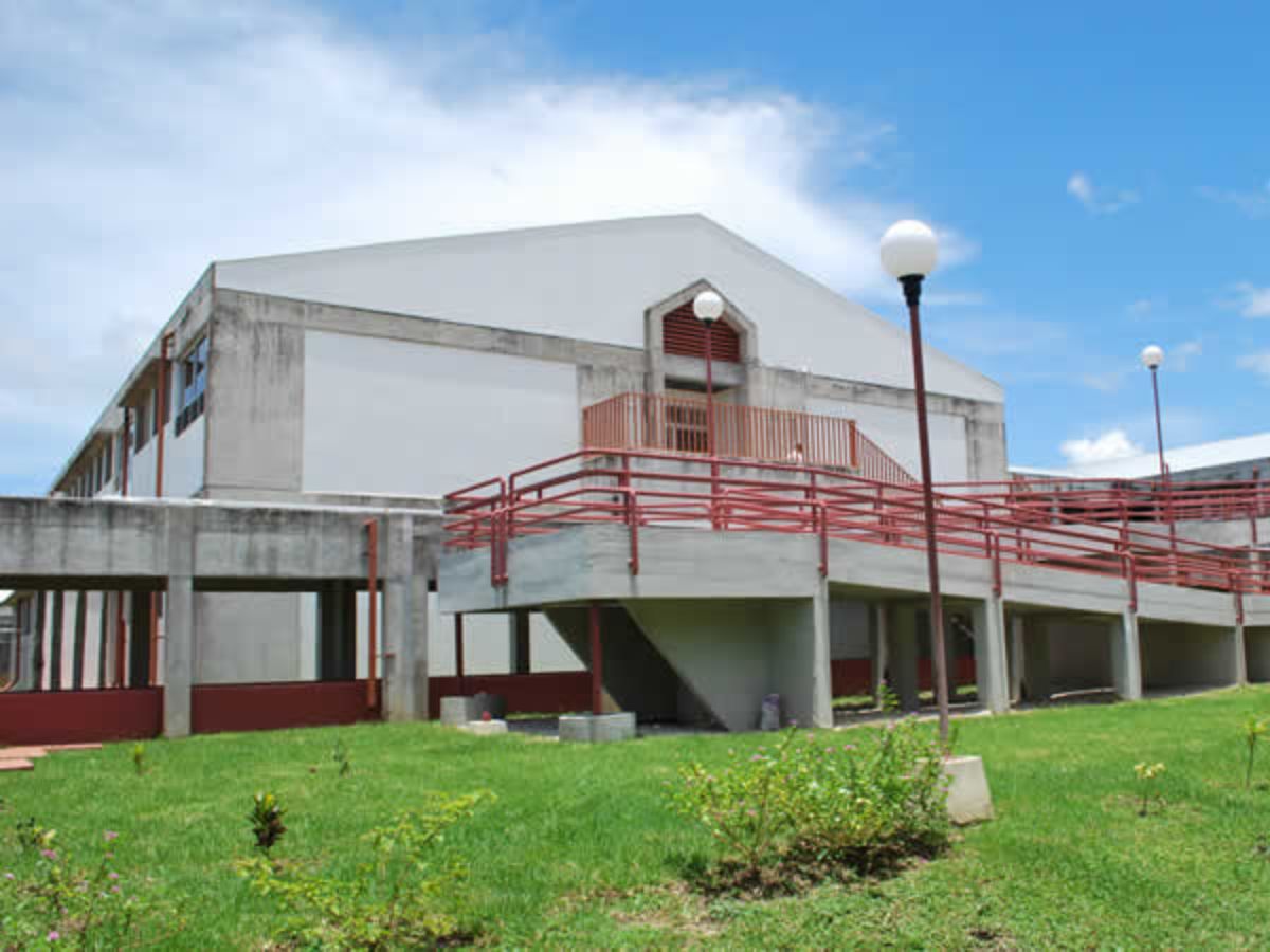 Servicios atienden a unas 800 personas al día