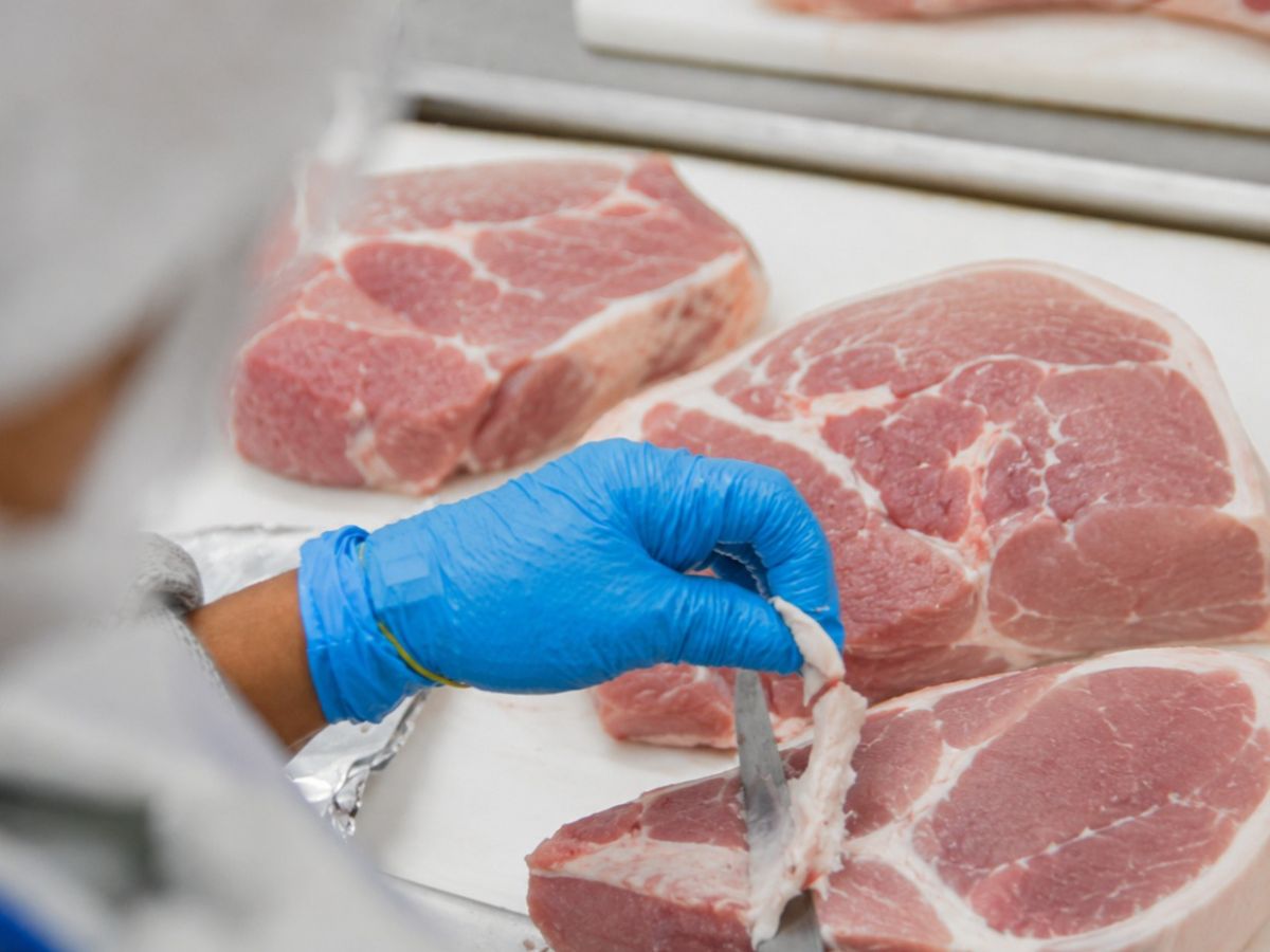 El sistema de vigilancia y control de producción de cerdo están siendo auditados por primera vez por autoridades sanitarias del Ministerio de Seguridad Alimentaria y Medicamentos de la República de Corea (MFDS), con el objetivo de abrir el mercado para exportar carne de cerdo a ese país.