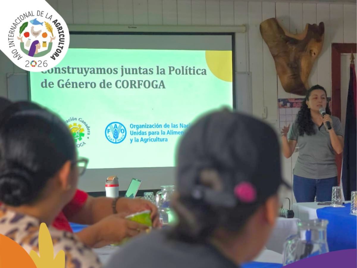 Cinco consultas regionales permitirán identificar brechas, necesidades y propuestas de las mujeres que participan en la cadena ganadera costarricense. El proceso cuenta con la asistencia técnica de la FAO.