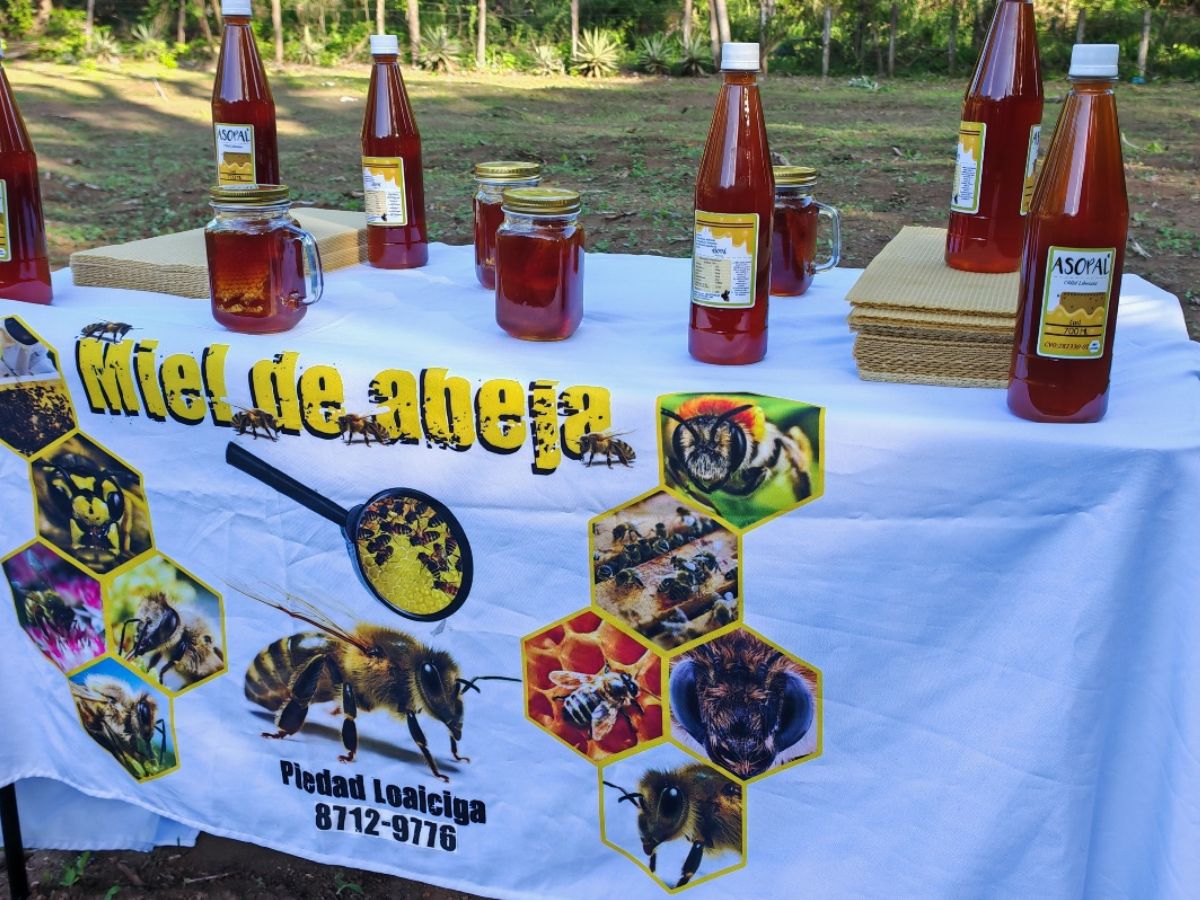 El proyecto es el inicio de la construcción de una sala de extracción, procesamiento y envasado de miel de abejas