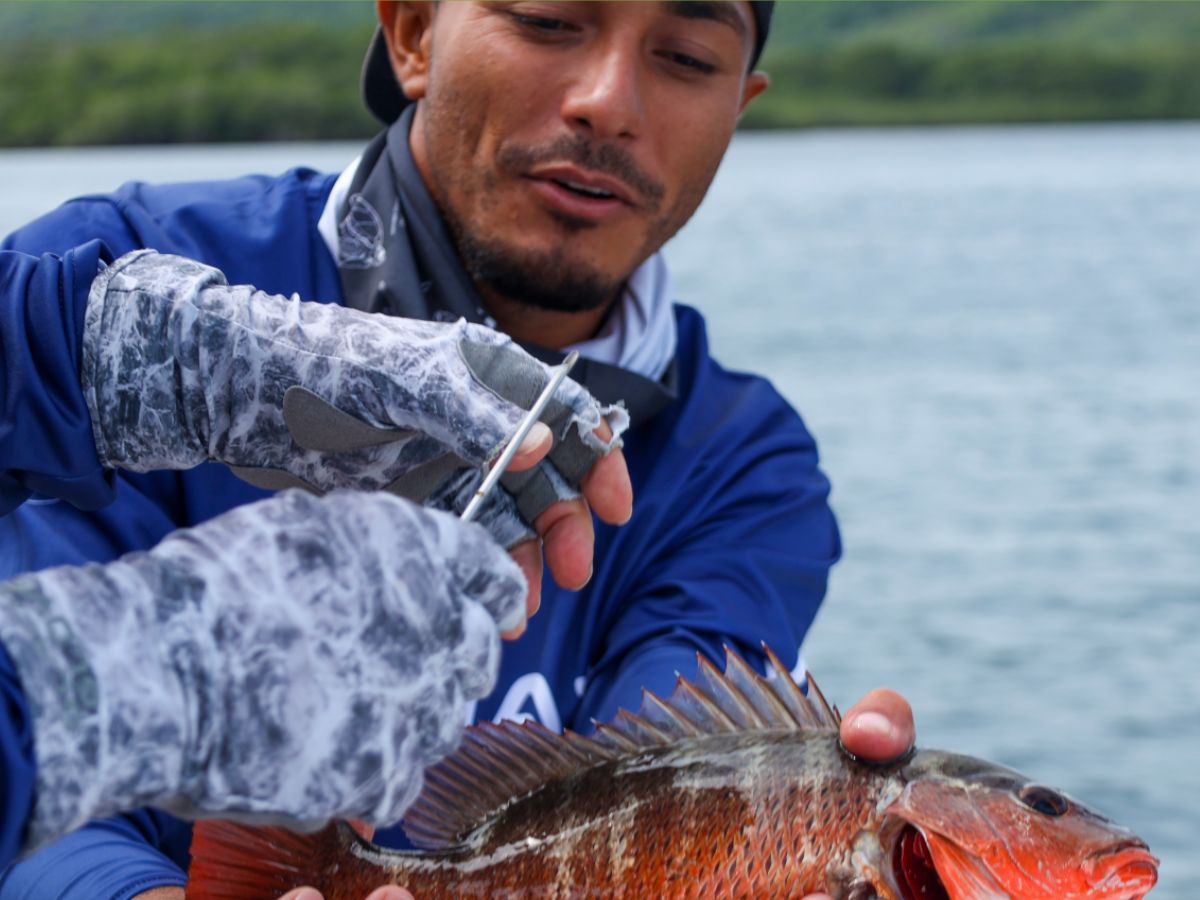 Estudio de la UCR registró 53 especies de peces y destaca la importancia de este ecosistema como refugio y zona de crianza de especies de interés pesquero.