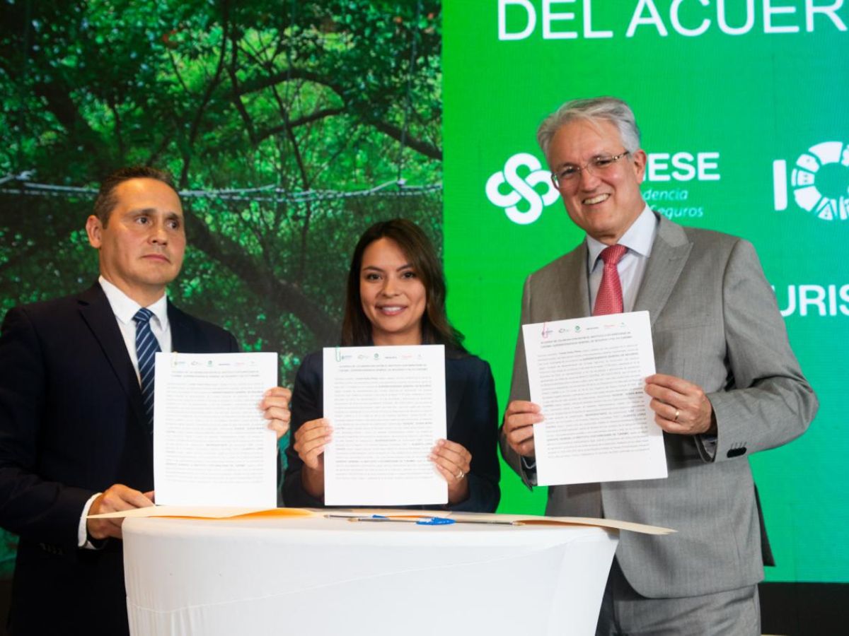 Futurismocr.com es una plataforma pionera a nivel latinoamericano que ofrece soluciones para la gestión integral de los riesgos asociados al clima.