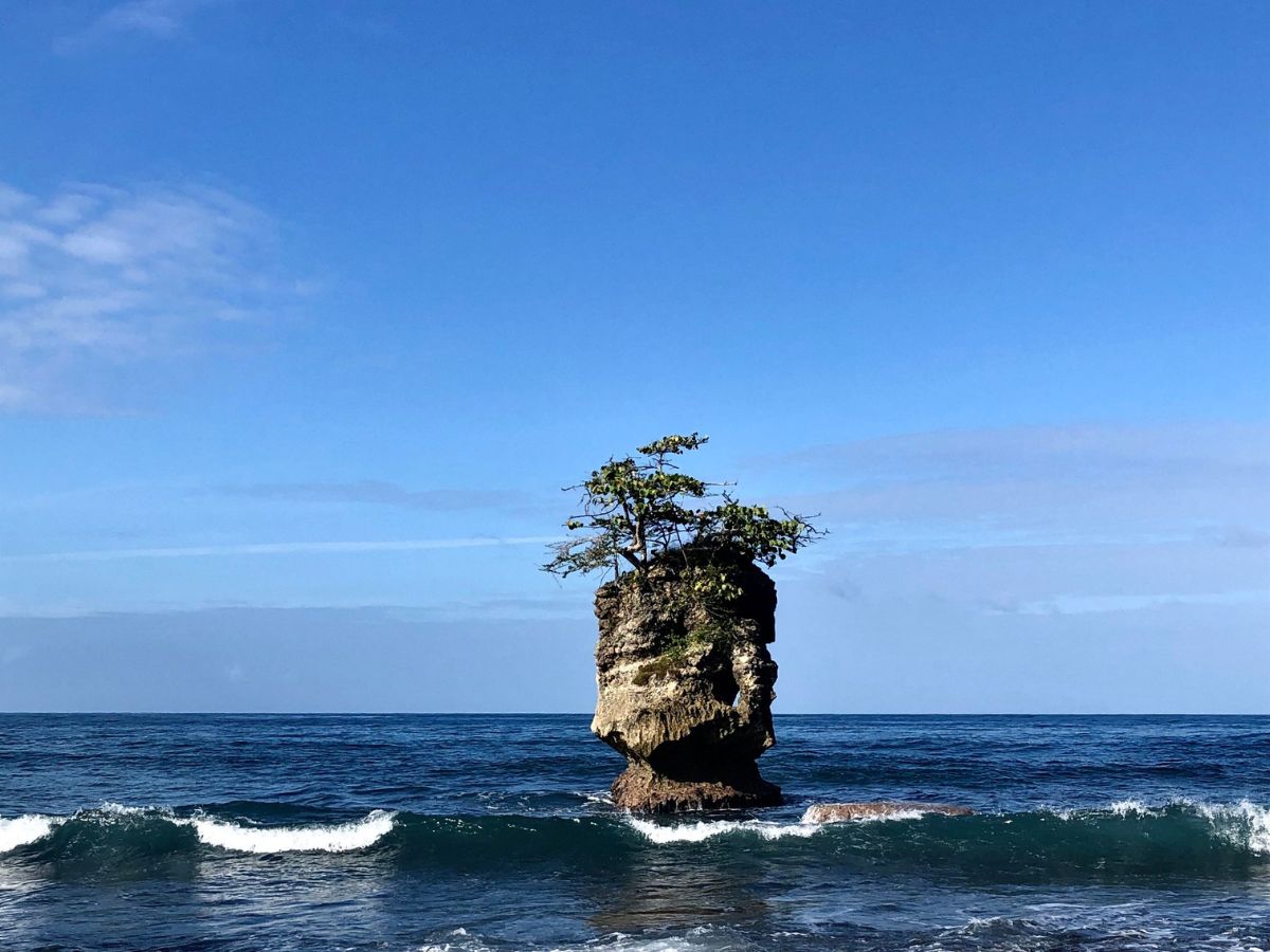 En el marco del Día Mundial del Medio Ambiente, el Programa Estado de la Nación (PEN) destaca algunos de los hallazgos del capítulo “Armonía con la Naturaleza” del Informe Estado de la Nación 2025, el cual analiza tendencias recientes en gestión ambiental, uso del territorio y conflictividad socioambiental en Costa Rica.  