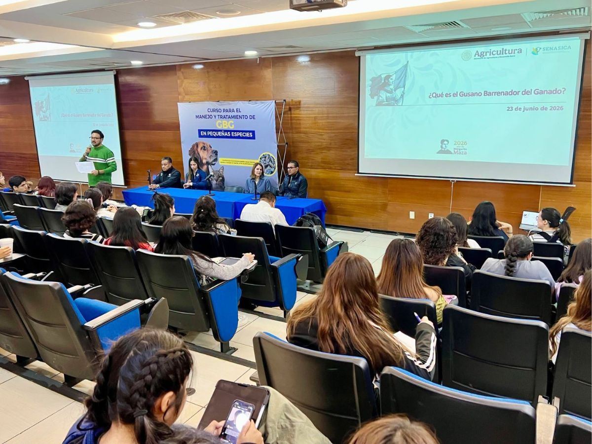 Más de 1.365 profesionales de Guatemala, El Salvador, Honduras y México han fortalecido sus conocimientos sobre el gusano barrenador.