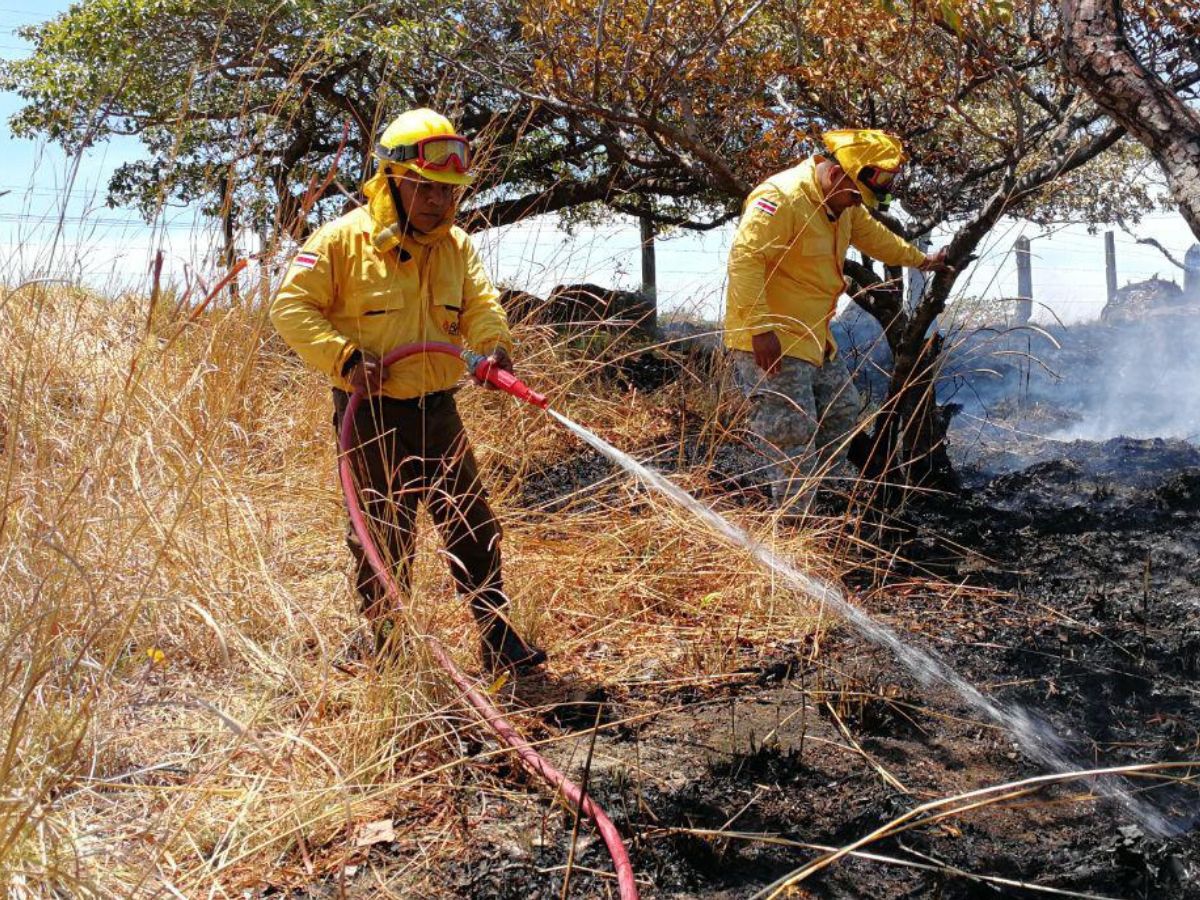 Ronda cortafuegos de 3 km, reforzará la protección del Parque Nacional Barra Honda.