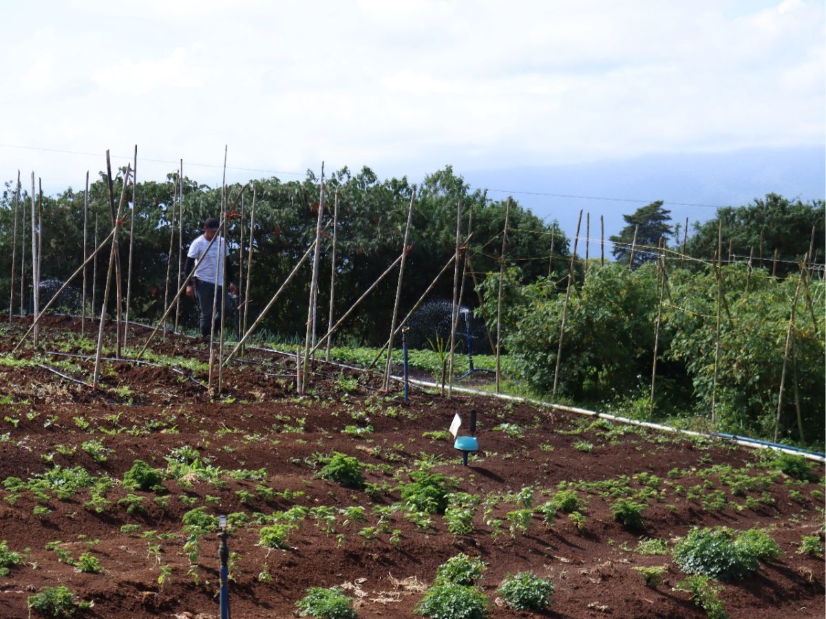 También, incluye infraestructura parcelaria para optimizar su uso en los cultivos