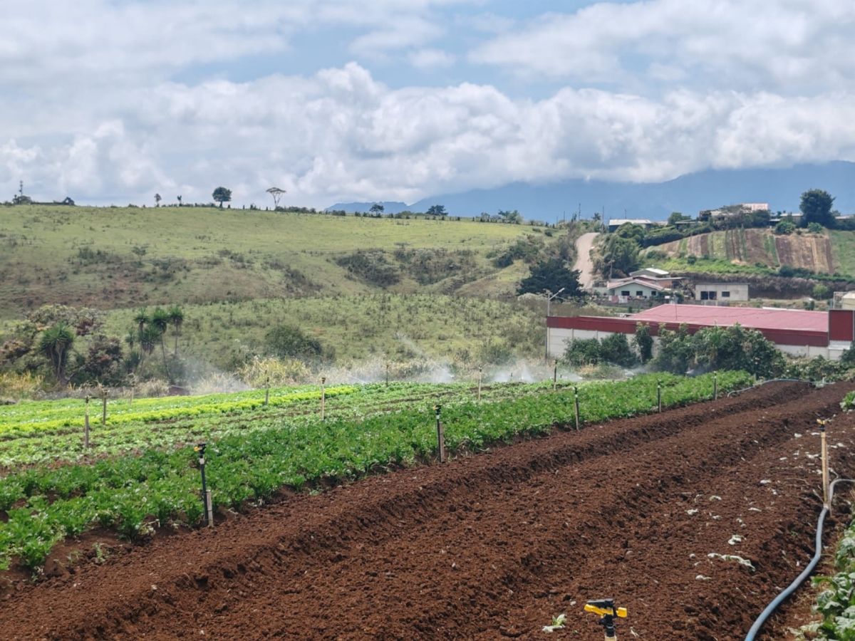 Proyecto en el Asentamiento Don Rogelio